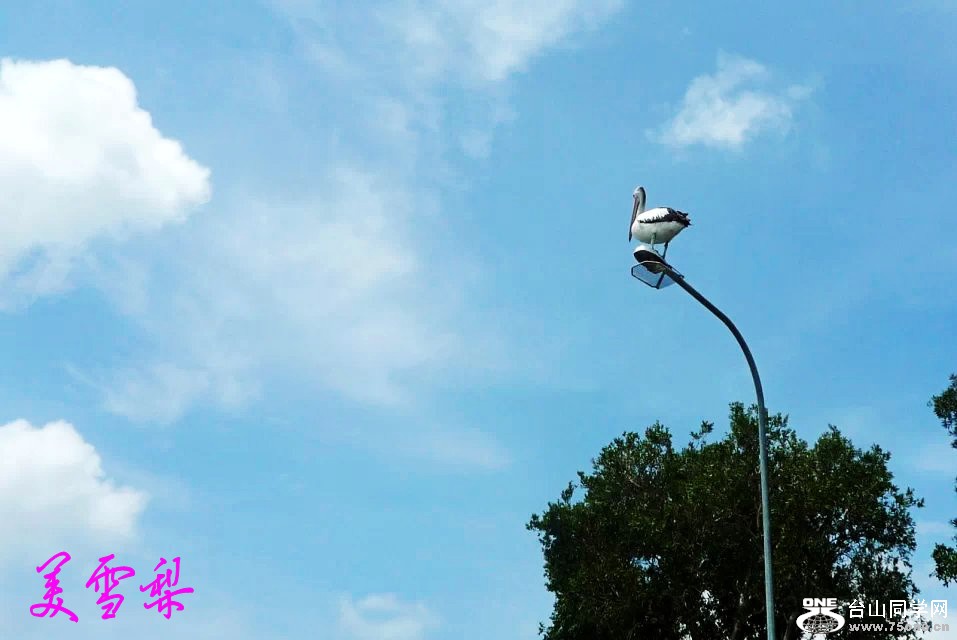 DSC_6245_conew1.jpg