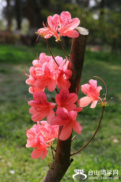 APB4SLF017KK0006.jpg