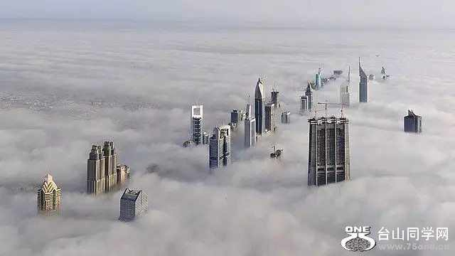0 (10).jpg