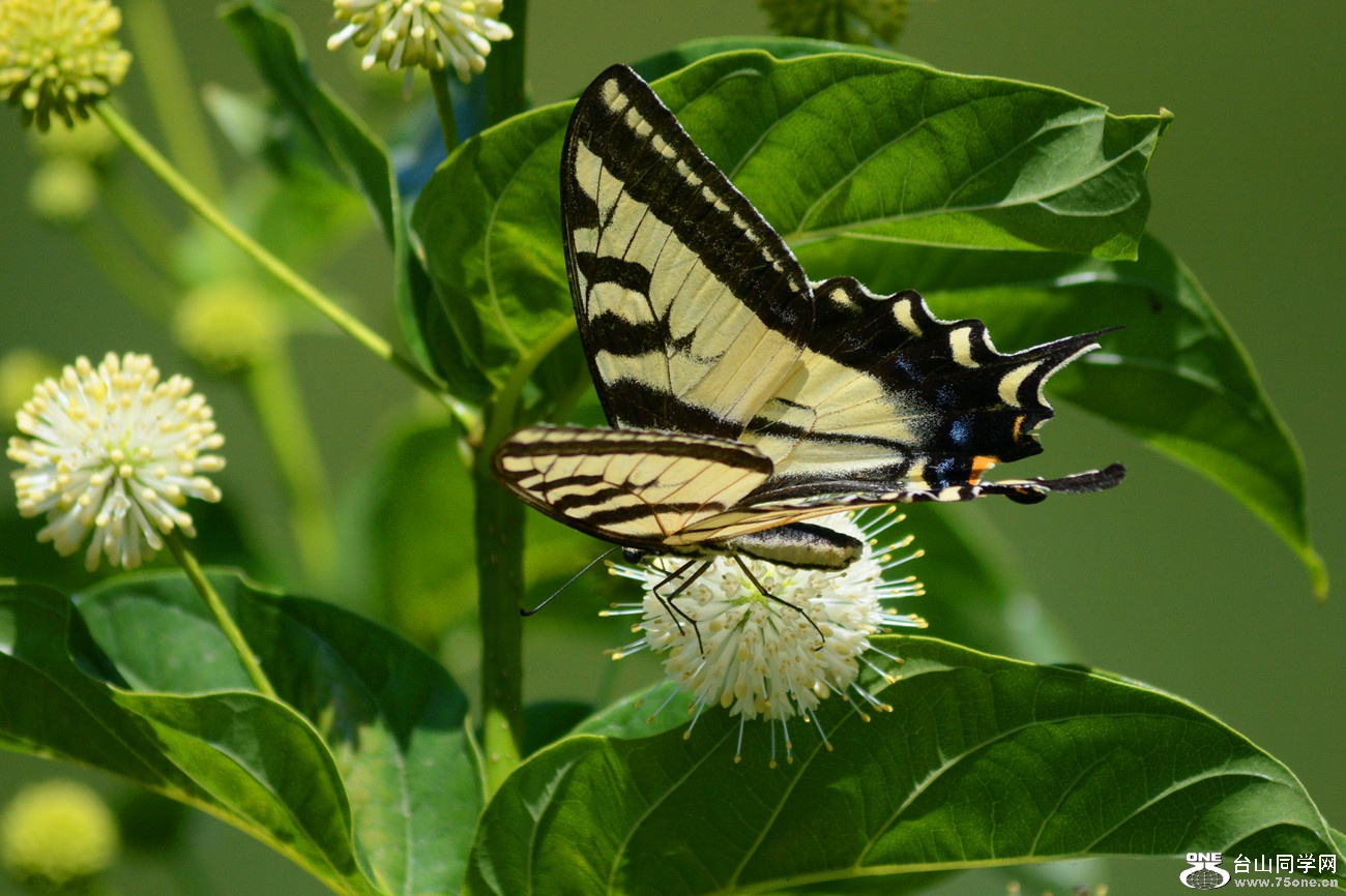 DSC_5103_20.jpg