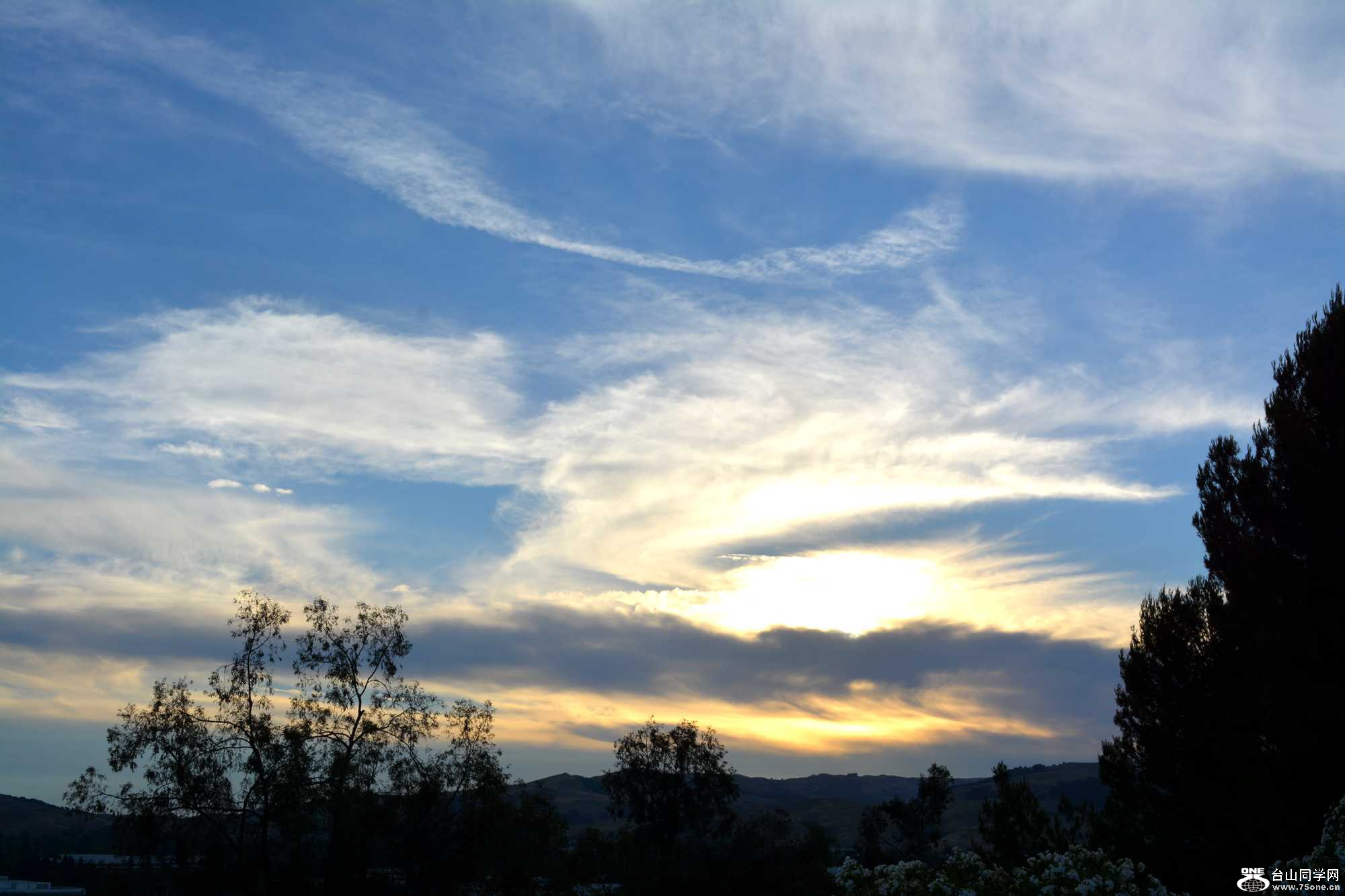 DSC_1496.jpg