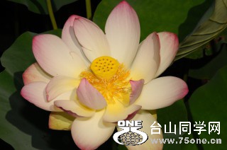 DSC_0130 [ 320 ߶ 240].jpg