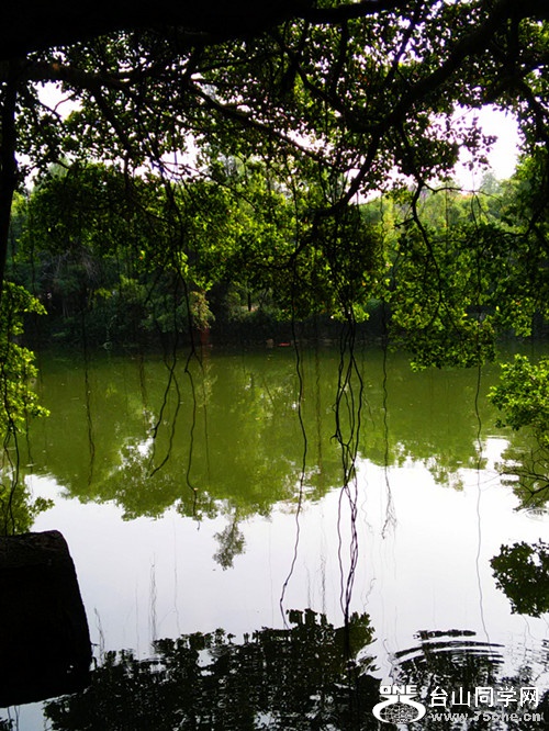 IMG20150712083009_.jpg