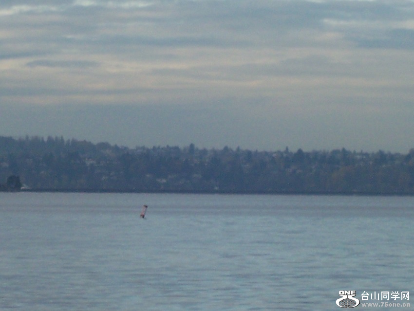 000_0019-2.jpg