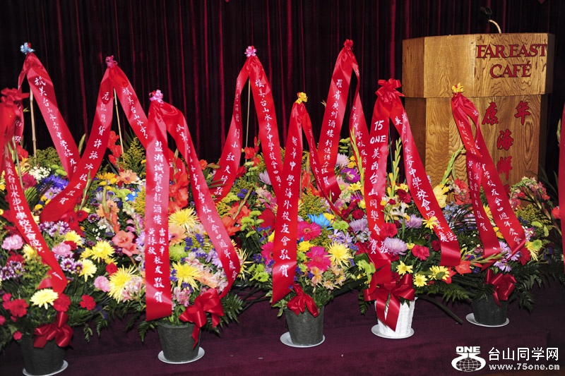 DSC_7762aa.jpg