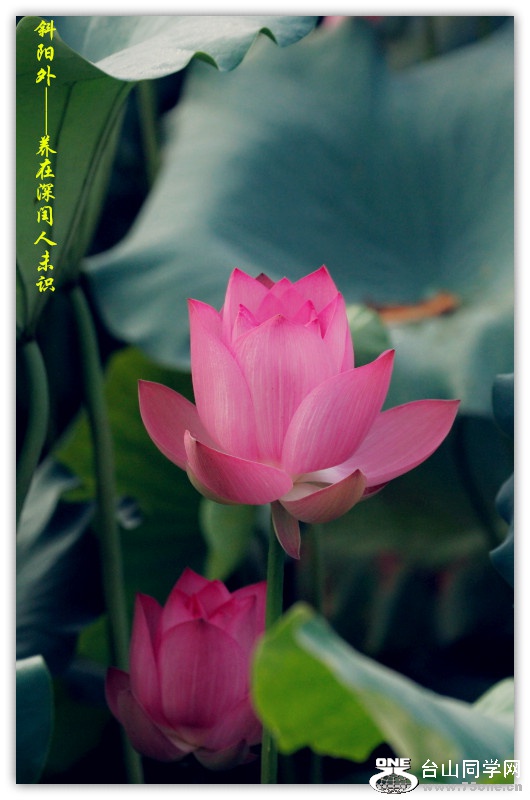 DPP_2015.5.180546_.jpg