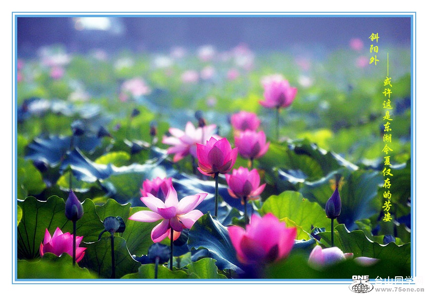 DPP_2015.5.180796__.jpg