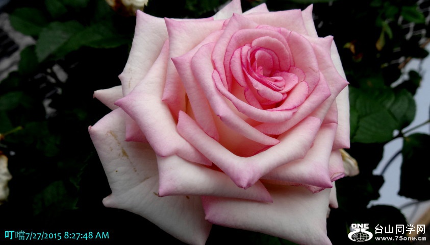 DSC08140a_1.jpg