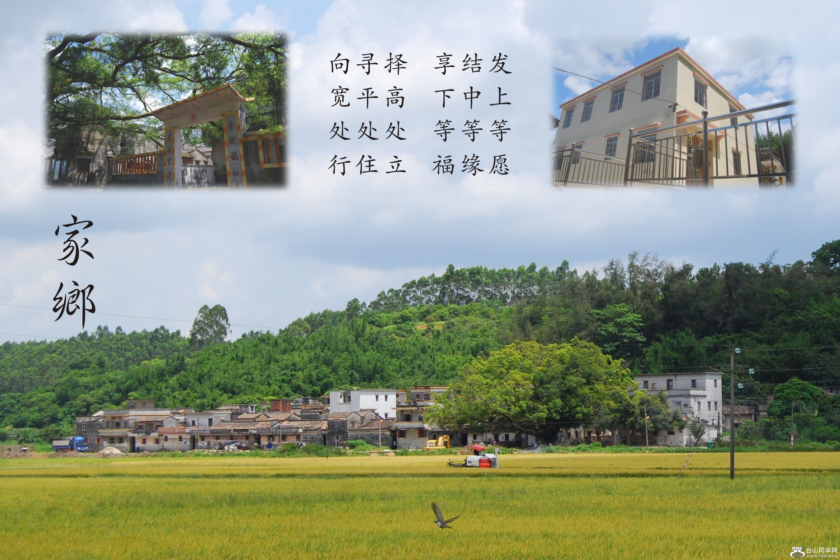 QQͼƬ20150709091827.jpg