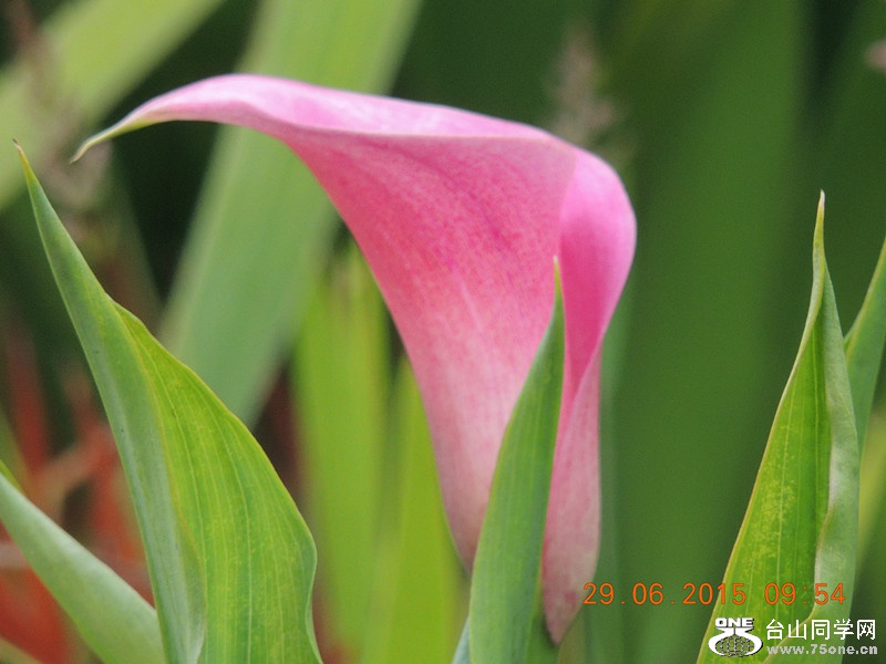 mix 2015 108_����.jpg