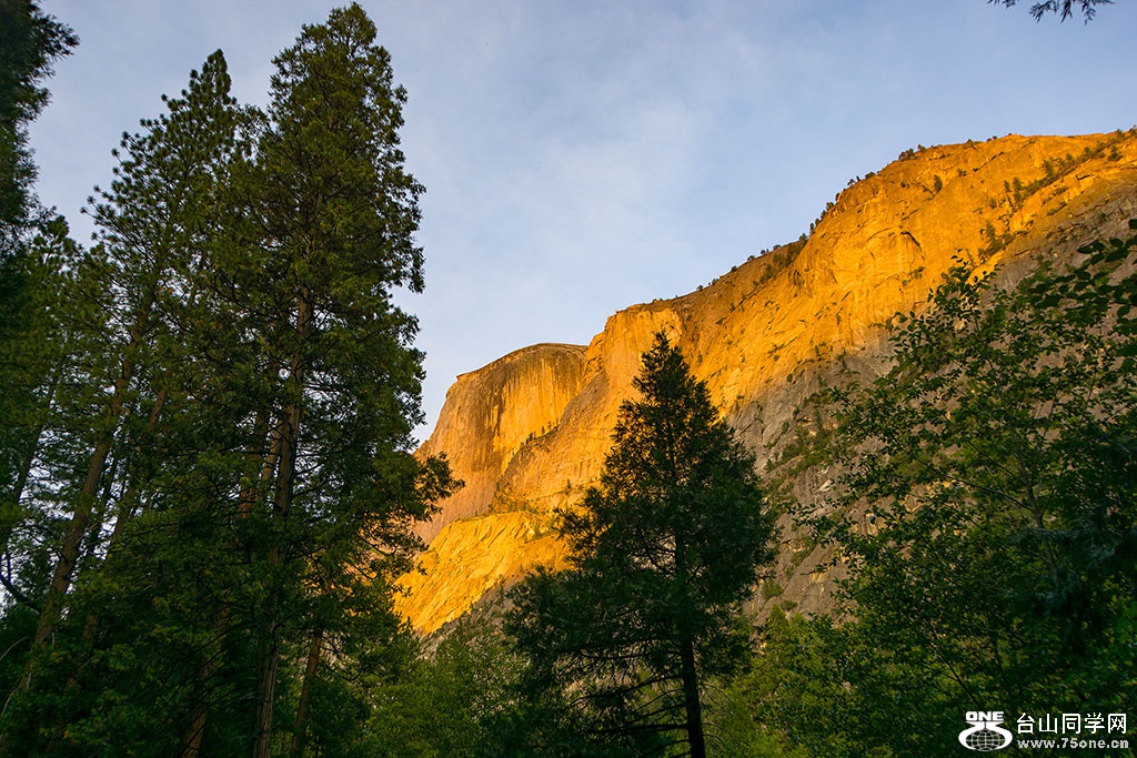 DSC_3675.jpg