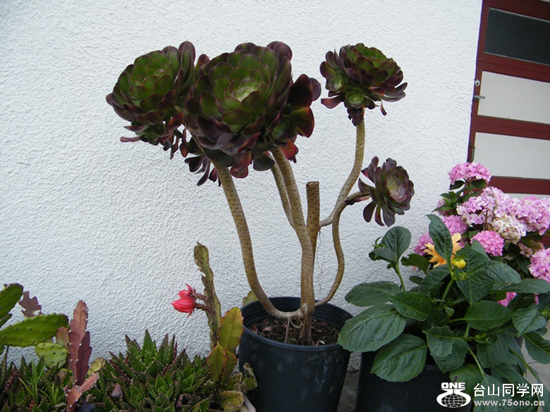 DSCF5564_.jpg