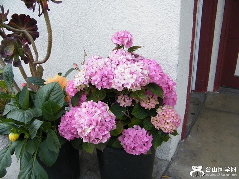 DSCF5561_.jpg