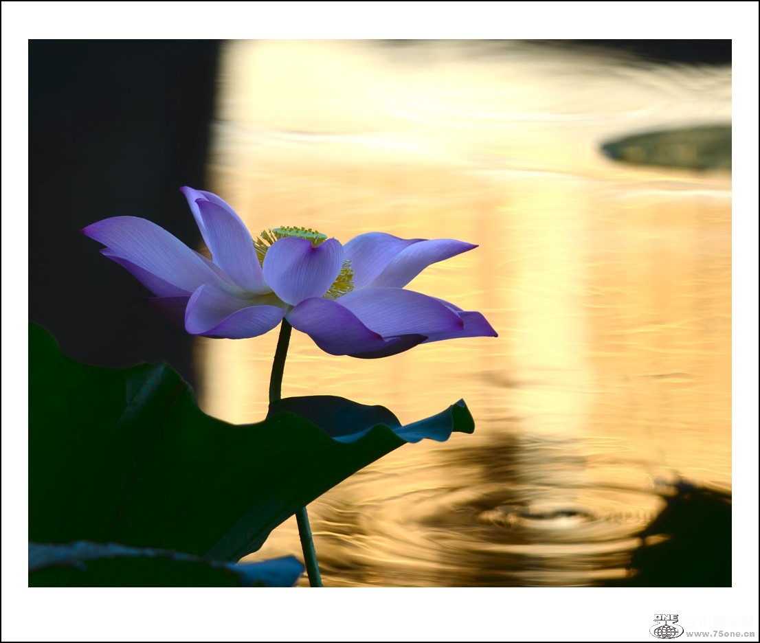 DSC_2061_conew1.jpg