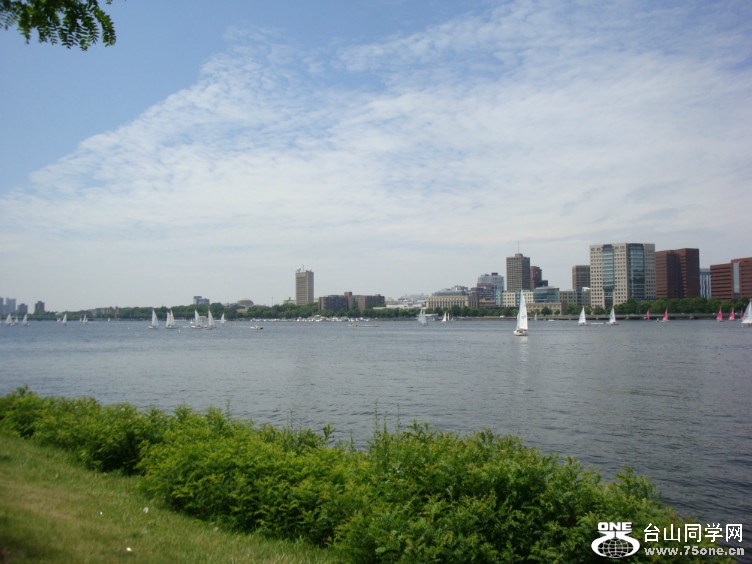 DSC05408.jpg