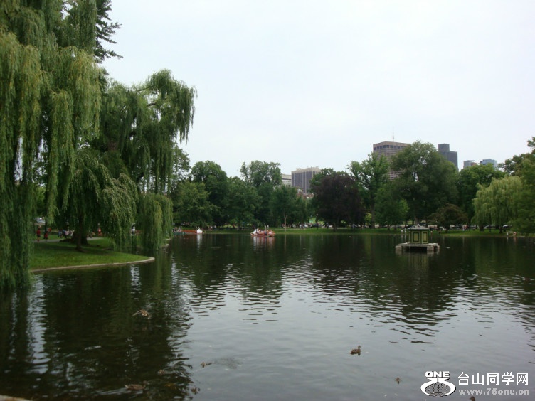 DSC05378.jpg