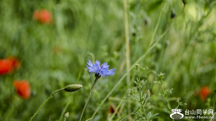05e77c8.jpg