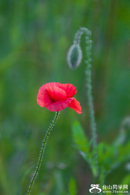 _MG_1763-XL.jpg