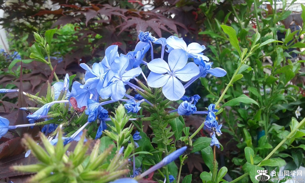 c7d359d.jpg