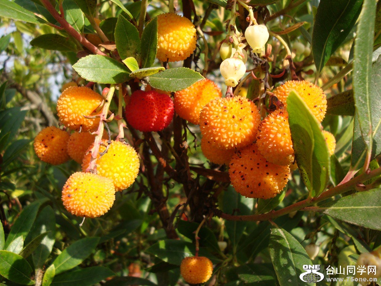 DSC04501_.jpg