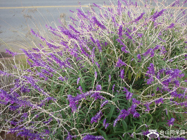 DSC04505_.jpg