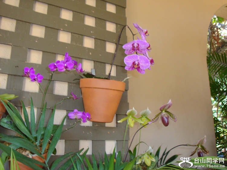 DSC04632_.jpg