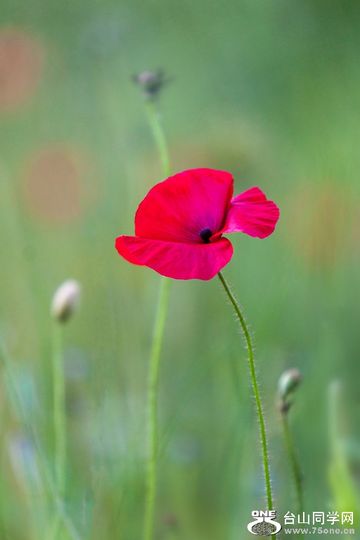 _MG_1758-XL.jpg