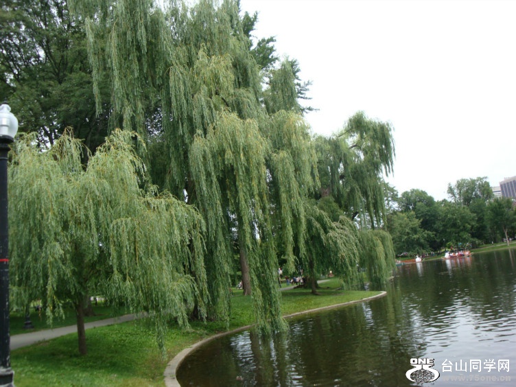 DSC05377.jpg
