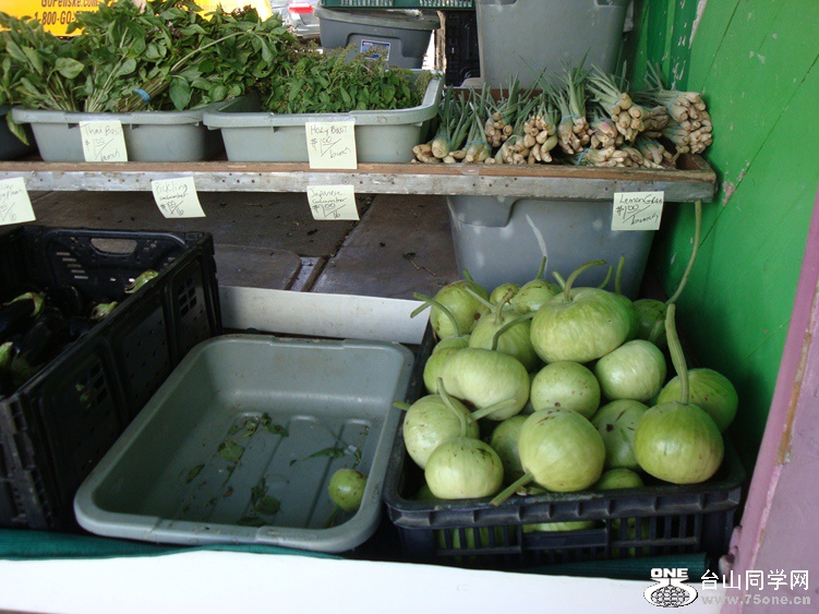 DSC04484_.jpg