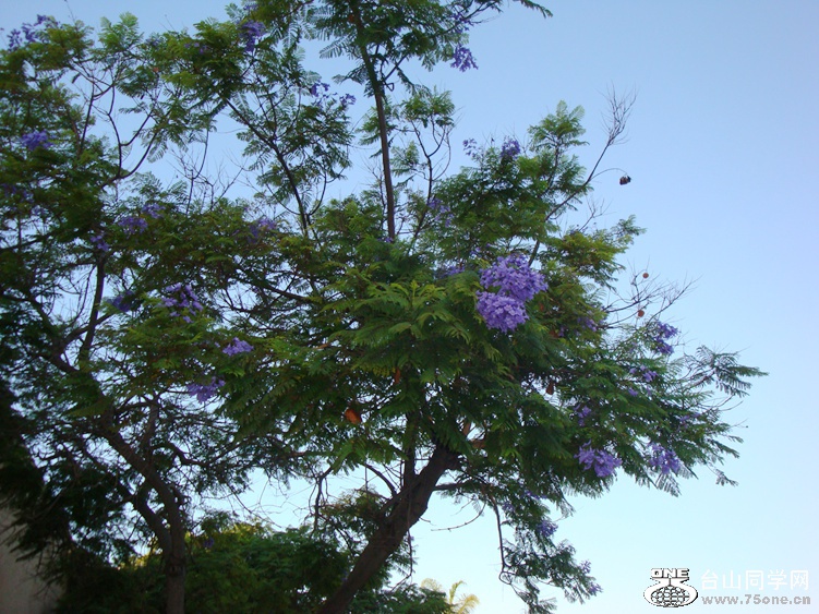 DSC04650_.jpg