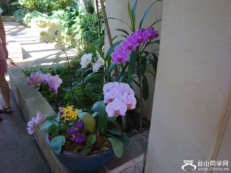 DSC04635_.jpg