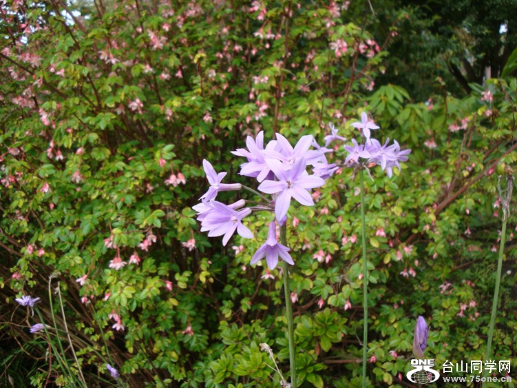 DSC04499_.jpg