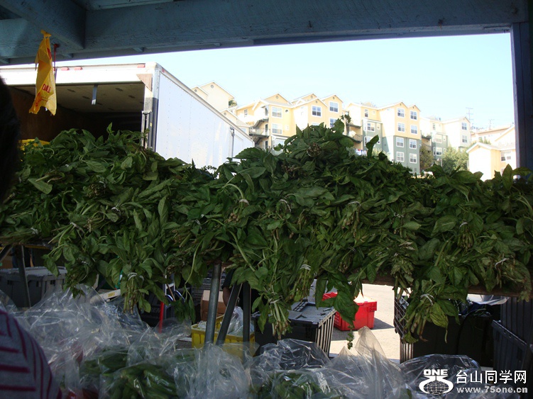 DSC04480_.jpg