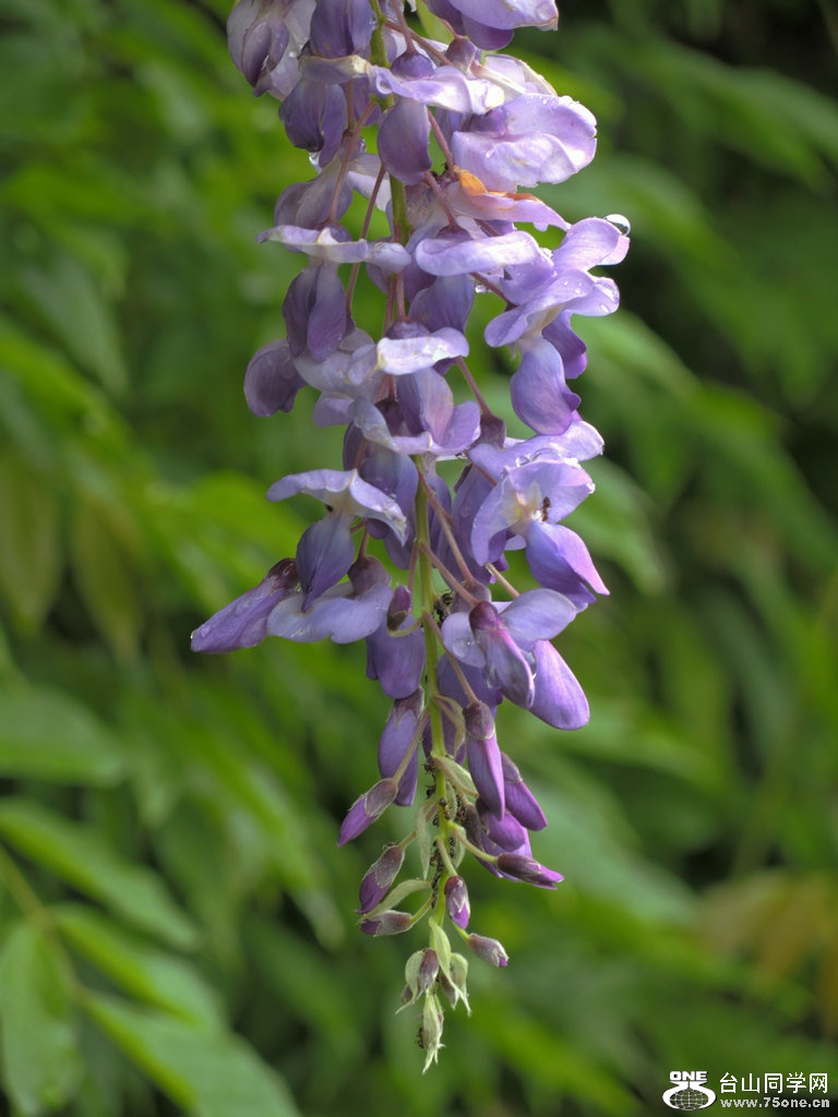 618a09e.jpg
