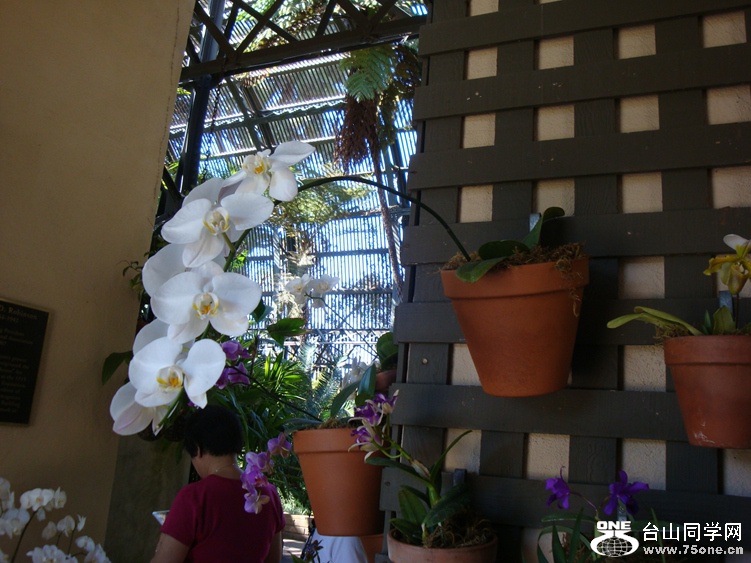 DSC04633_.jpg