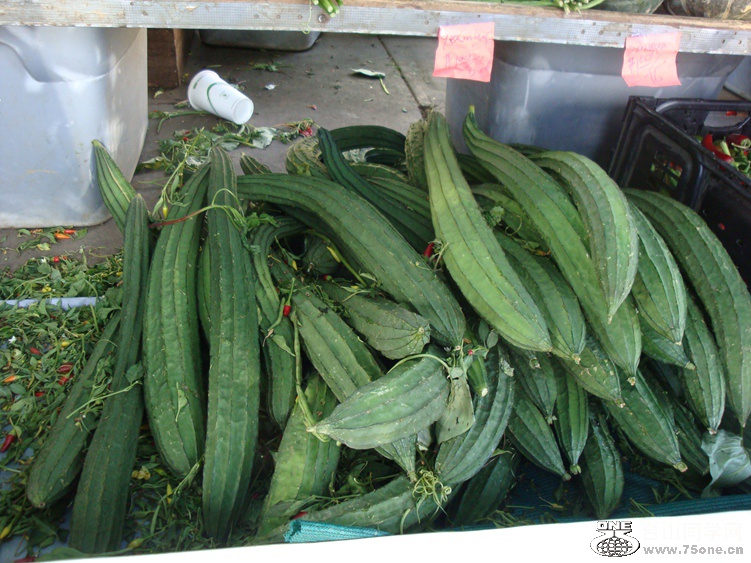 DSC04487_.jpg