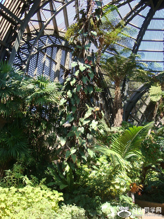 DSC04640_.jpg