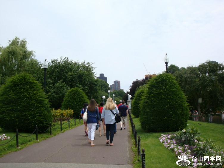 DSC05365.jpg