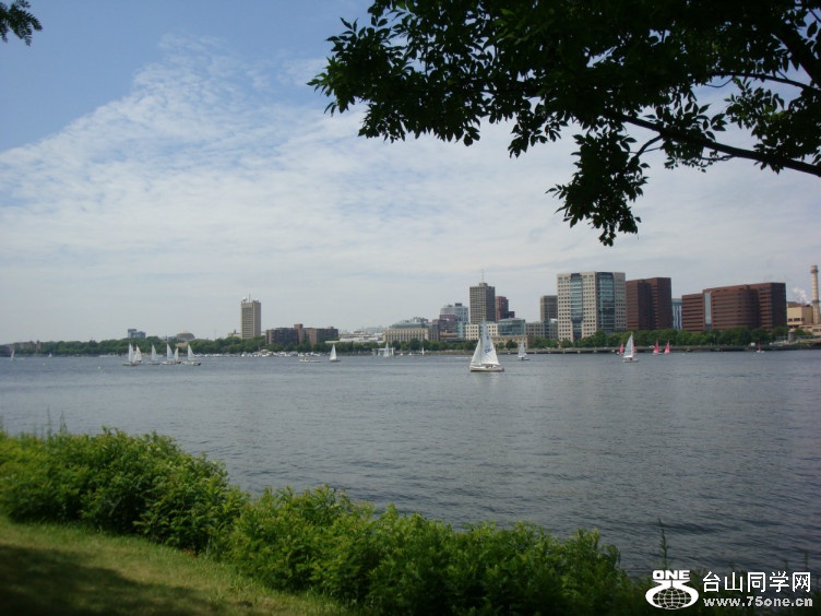 DSC05407.jpg
