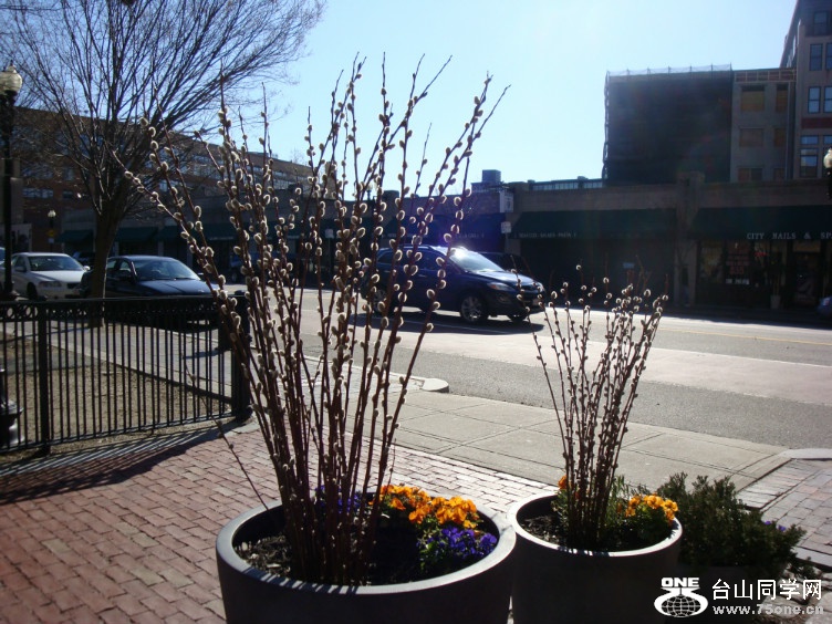 DSC03912.jpg