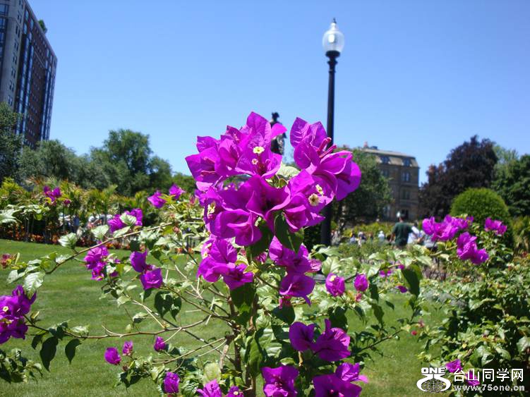 DSC04016_.jpg