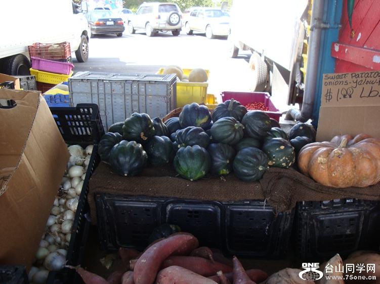 DSC04482_.jpg