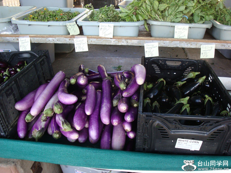 DSC04485_.jpg
