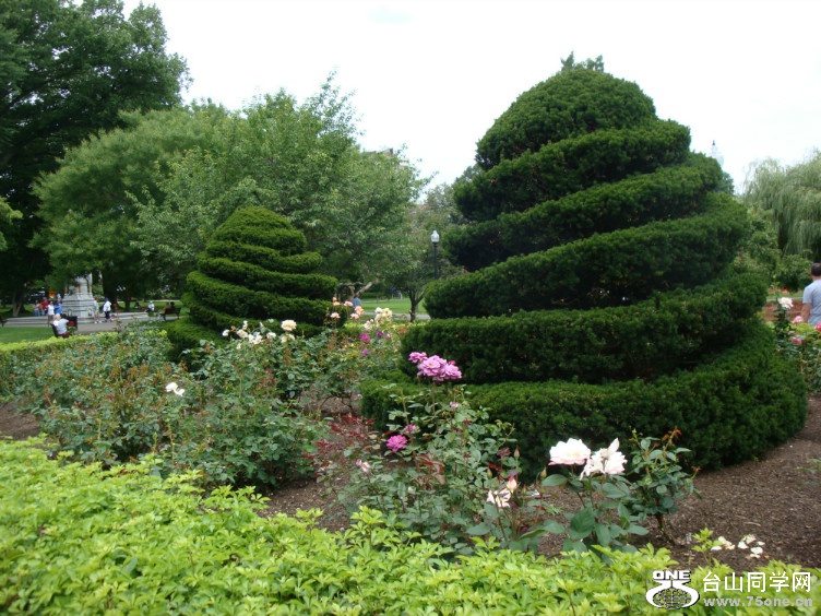 DSC05360.jpg