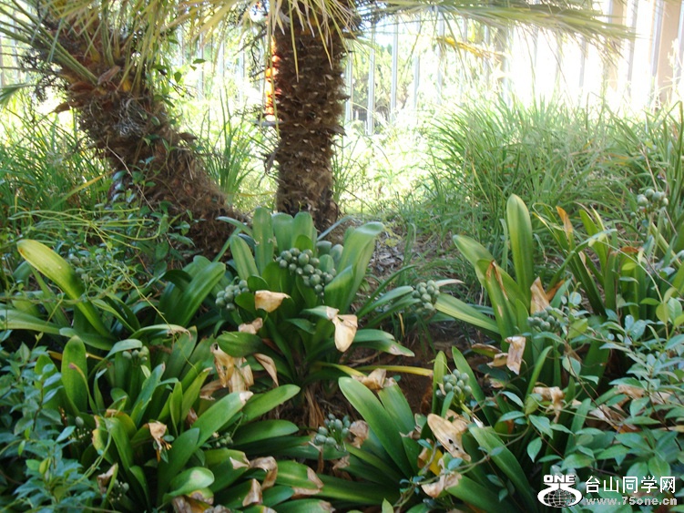 DSC04643_.jpg