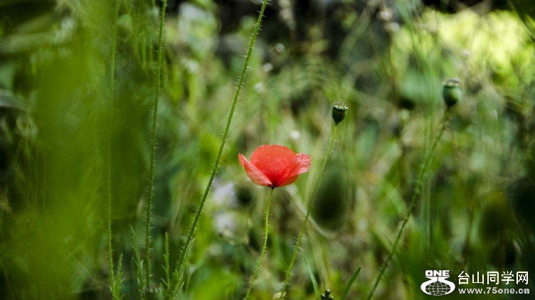 d13512b.jpg