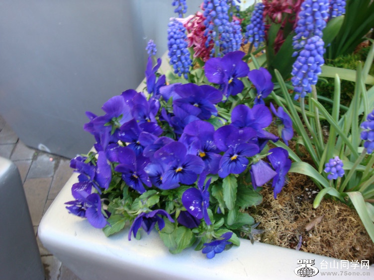 DSC03914.jpg