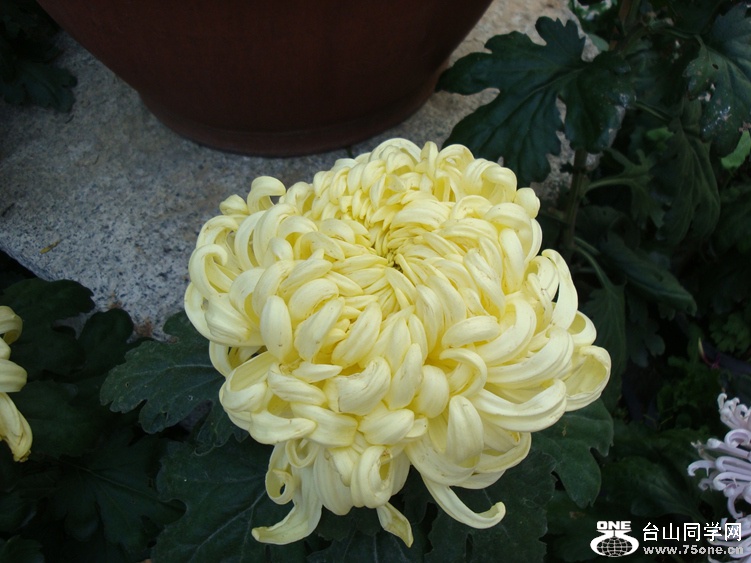 DSC05057_.jpg