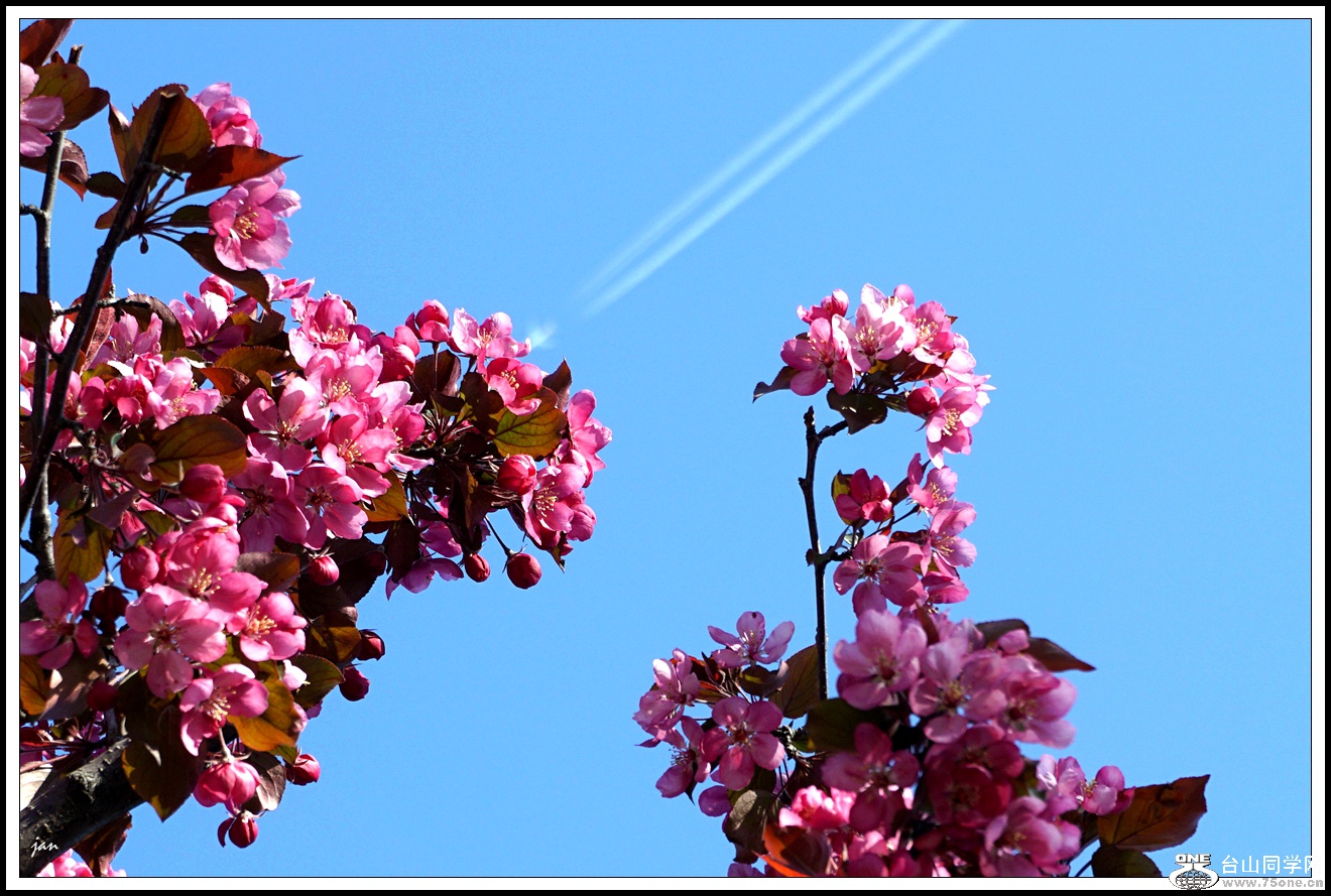 DSC05803.JPG