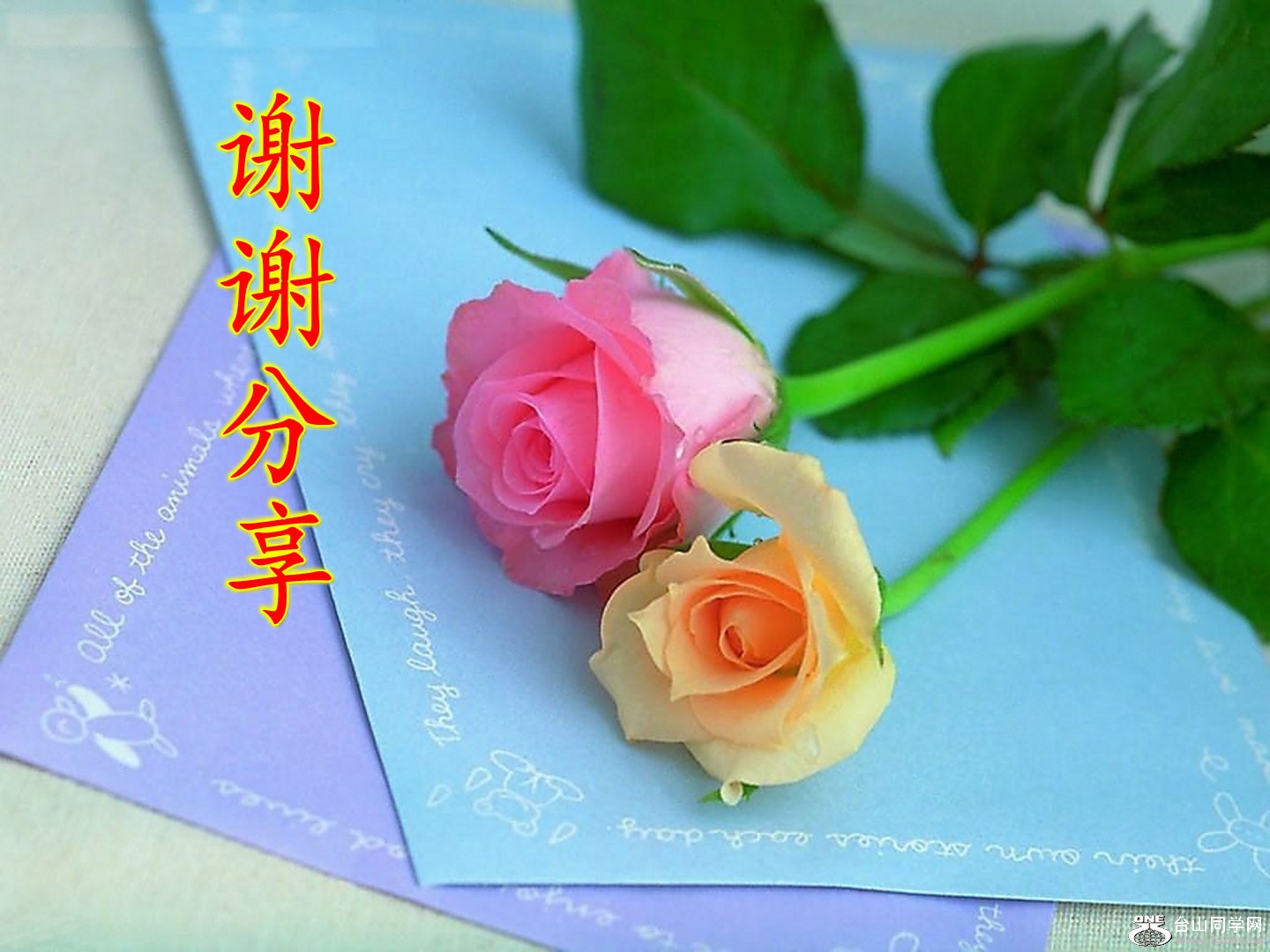 14401080._conew2.jpg